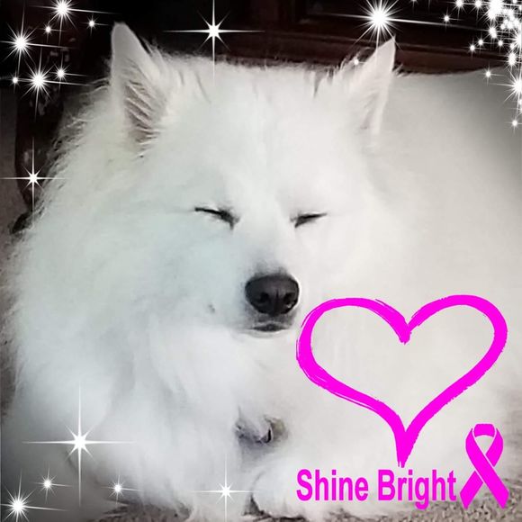 Meet your Posher, Hilary - Picture 1 of 1